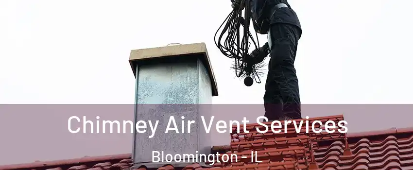  Chimney Air Vent Services Bloomington - IL