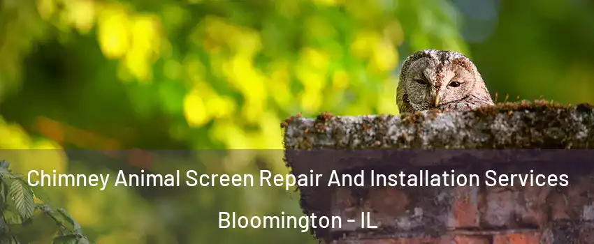  Chimney Animal Screen Repair And Installation Services Bloomington - IL