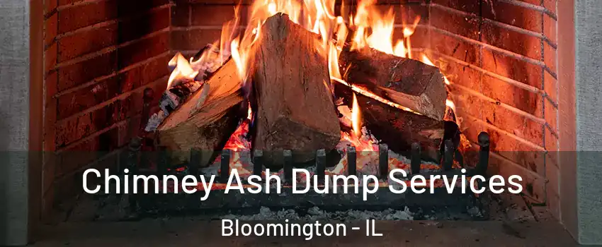  Chimney Ash Dump Services Bloomington - IL