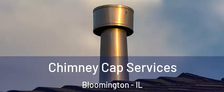  Chimney Cap Services Bloomington - IL
