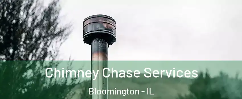  Chimney Chase Services Bloomington - IL