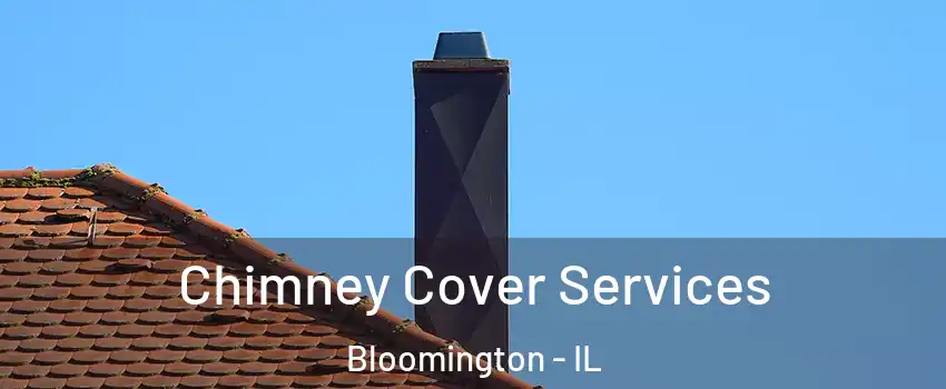  Chimney Cover Services Bloomington - IL