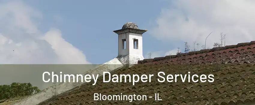  Chimney Damper Services Bloomington - IL