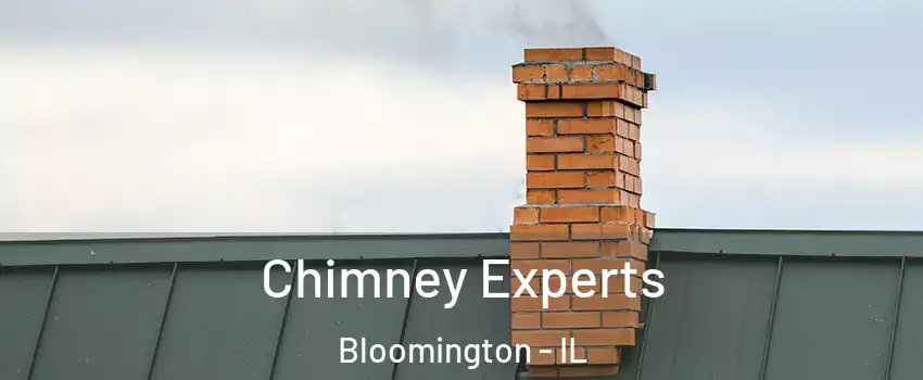  Chimney Experts Bloomington - IL