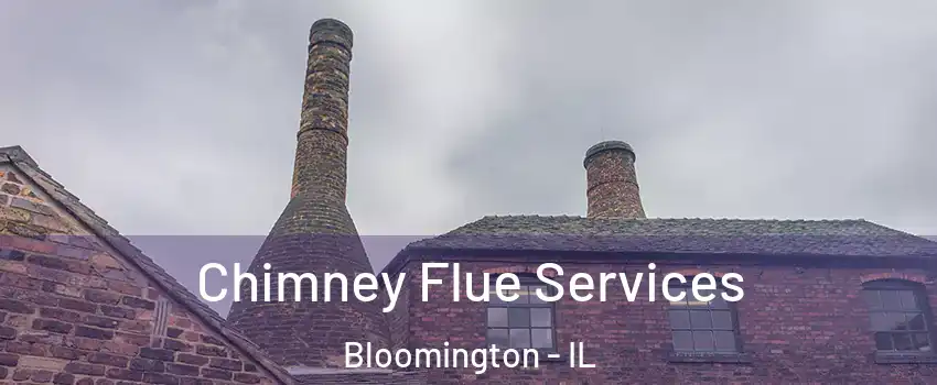  Chimney Flue Services Bloomington - IL