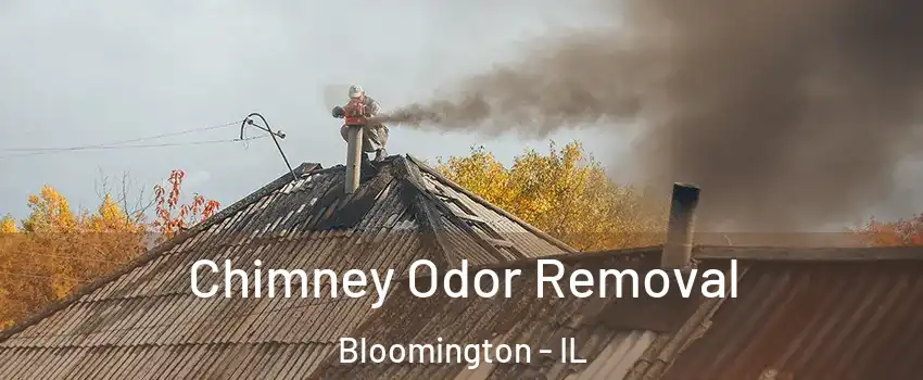  Chimney Odor Removal Bloomington - IL