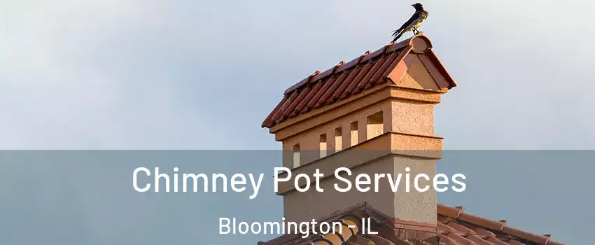  Chimney Pot Services Bloomington - IL