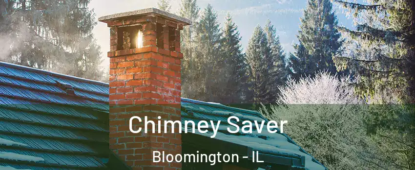  Chimney Saver Bloomington - IL