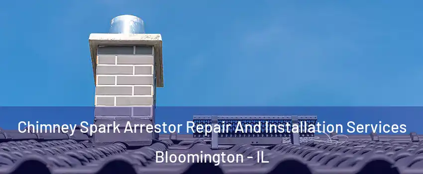  Chimney Spark Arrestor Repair And Installation Services Bloomington - IL