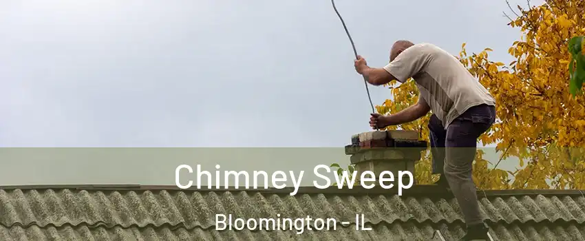  Chimney Sweep Bloomington - IL
