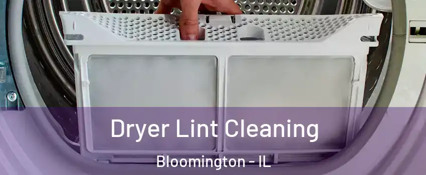  Dryer Lint Cleaning Bloomington - IL