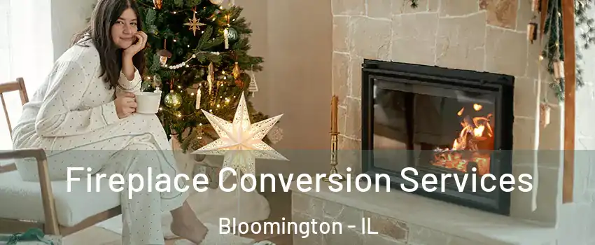  Fireplace Conversion Services Bloomington - IL