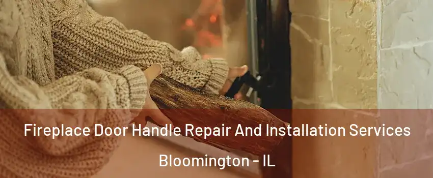  Fireplace Door Handle Repair And Installation Services Bloomington - IL