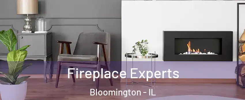  Fireplace Experts Bloomington - IL