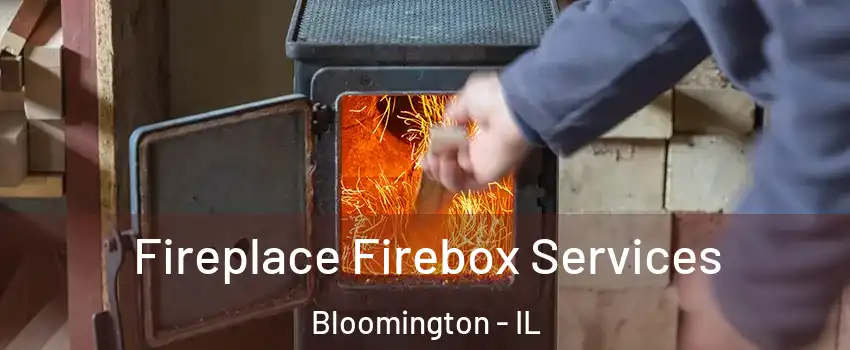  Fireplace Firebox Services Bloomington - IL
