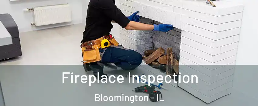  Fireplace Inspection Bloomington - IL