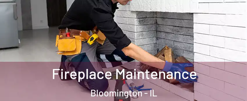  Fireplace Maintenance Bloomington - IL