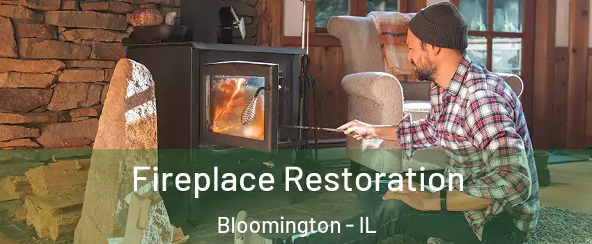  Fireplace Restoration Bloomington - IL