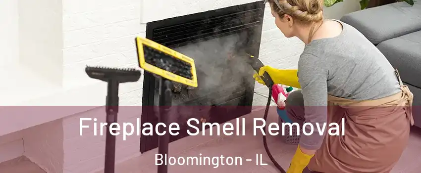 Fireplace Smell Removal Bloomington - IL