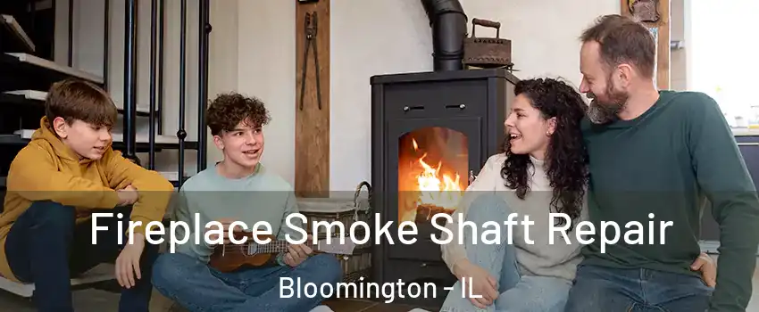  Fireplace Smoke Shaft Repair Bloomington - IL