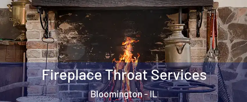 Fireplace Throat Services Bloomington - IL
