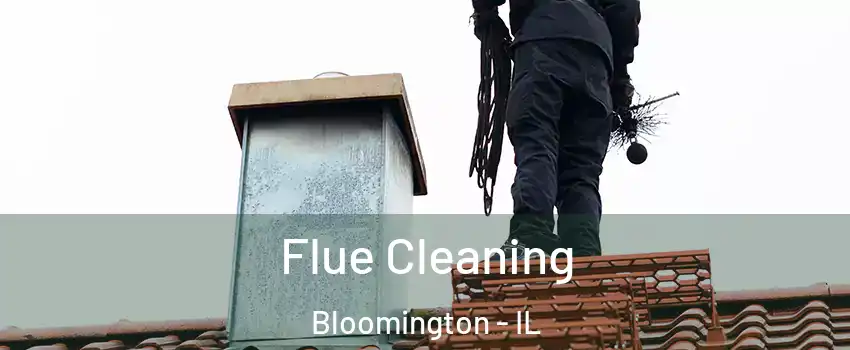  Flue Cleaning Bloomington - IL