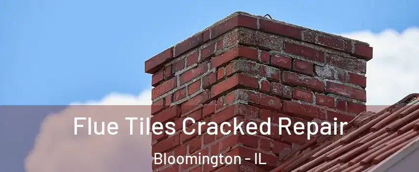  Flue Tiles Cracked Repair Bloomington - IL