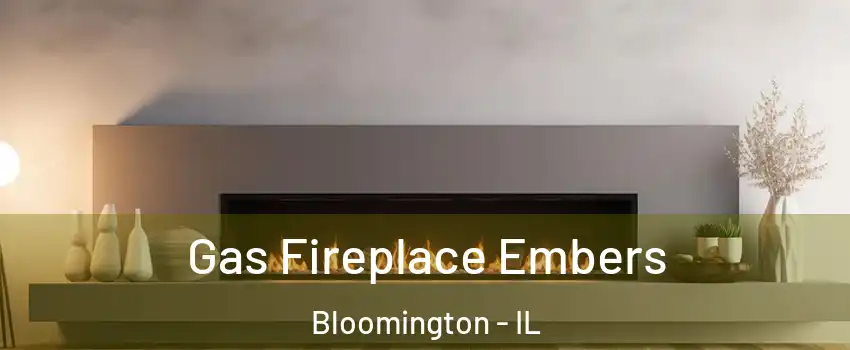  Gas Fireplace Embers Bloomington - IL