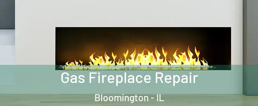  Gas Fireplace Repair Bloomington - IL