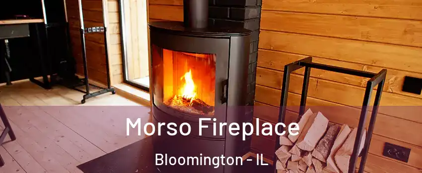  Morso Fireplace Bloomington - IL