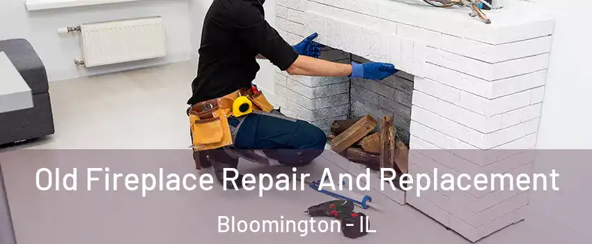  Old Fireplace Repair And Replacement Bloomington - IL