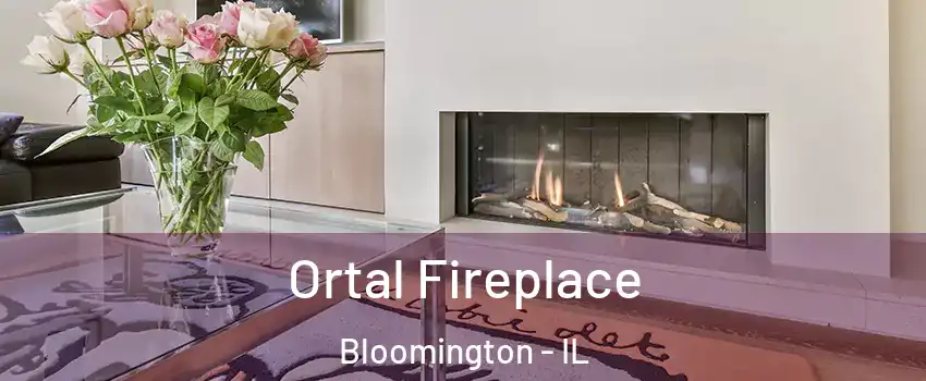  Ortal Fireplace Bloomington - IL