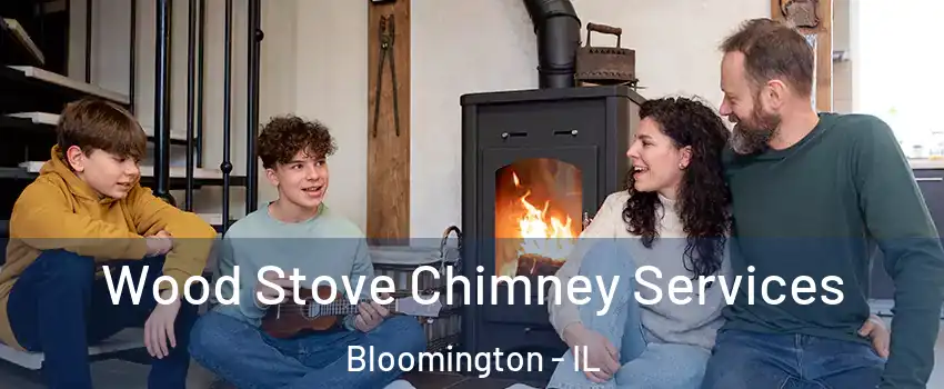  Wood Stove Chimney Services Bloomington - IL